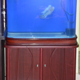 Acrylic Aquarium Package - 65 Gallon